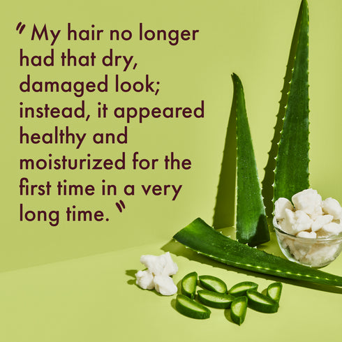 SheaMoisture Scalp Moisture Conditioner Aloe Butter 13oz